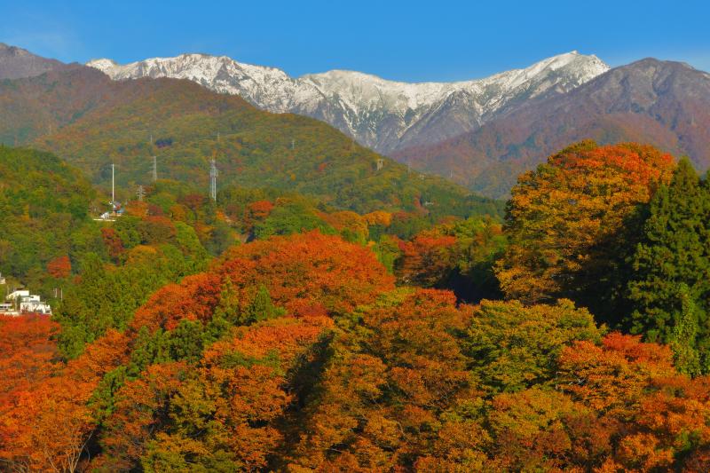 紅葉最前線 21年紅葉 水上 諏訪峡の見頃はいつ 未来の谷川岳