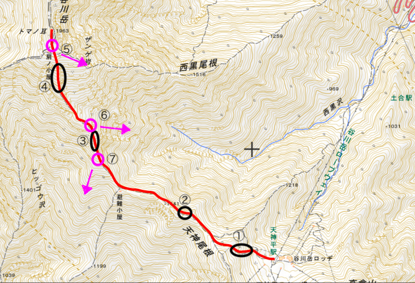 冬山初級者 3月こそ谷川ブルーを狙え 世界に誇る群馬の名峰 谷川岳に挑戦だ 天神尾根を徹底解説 未来の谷川岳